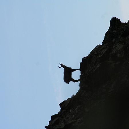 Apart Gletscherblick Kaunertal Esterno foto