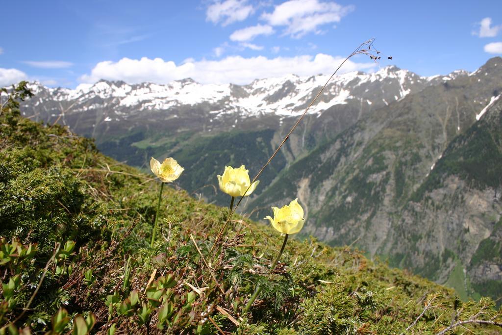 Apart Gletscherblick Kaunertal Esterno foto