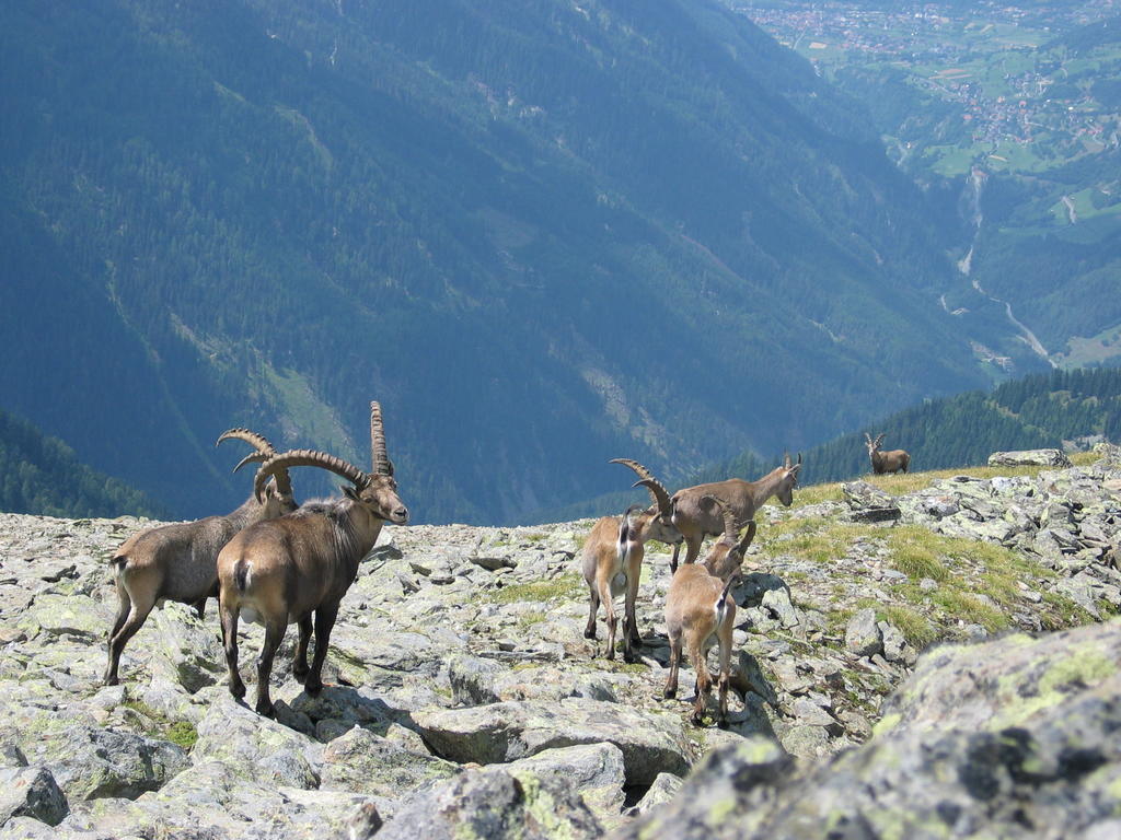 Apart Gletscherblick Kaunertal Esterno foto